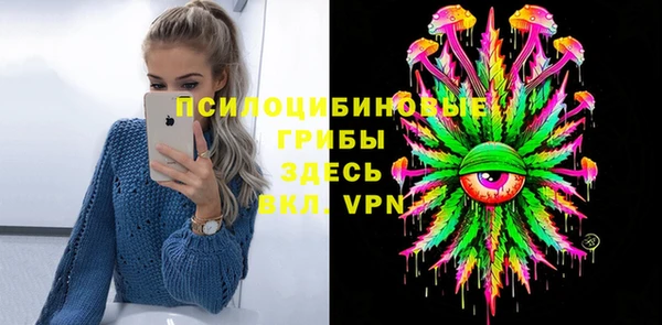 крисы Киренск